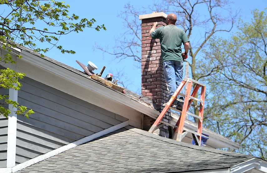 Chimney & Fireplace Inspections Services in Roy, UT